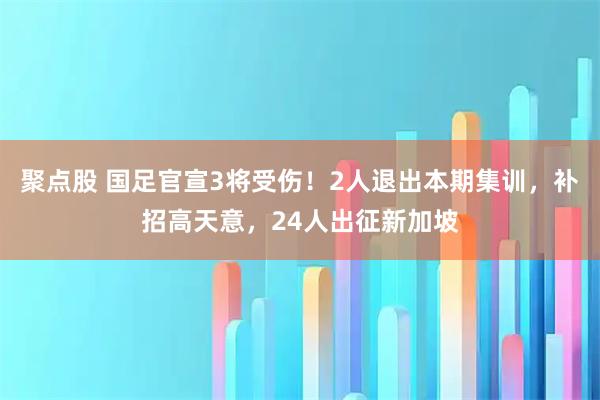 聚点股 国足官宣3将受伤！2人退出本期集训，补招高天意，24人出征新加坡