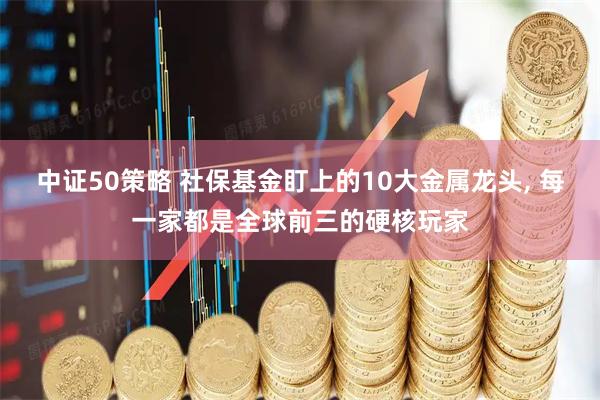 中证50策略 社保基金盯上的10大金属龙头, 每一家都是全球前三的硬核玩家