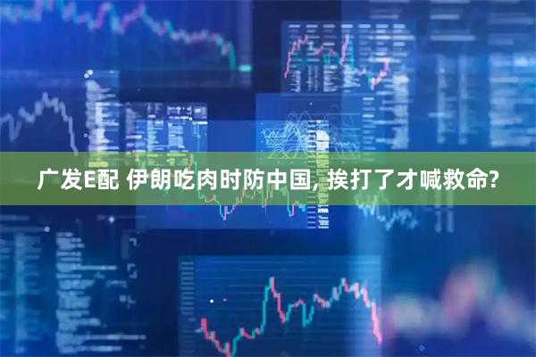 广发E配 伊朗吃肉时防中国, 挨打了才喊救命?