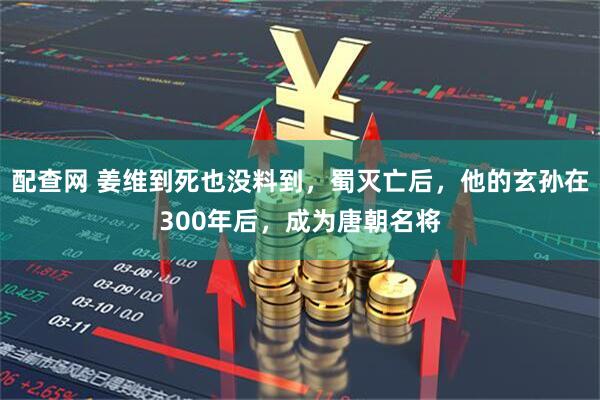 配查网 姜维到死也没料到，蜀灭亡后，他的玄孙在300年后，成为唐朝名将