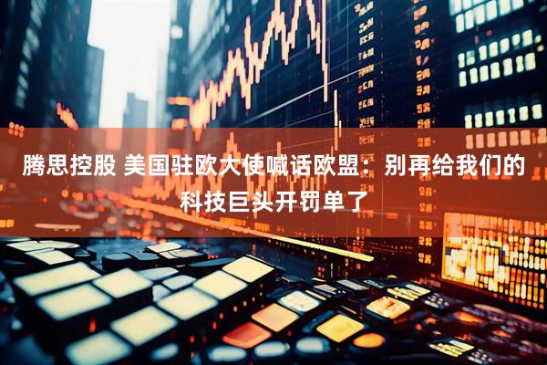 腾思控股 美国驻欧大使喊话欧盟：别再给我们的科技巨头开罚单了