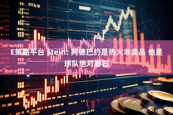 E策略平台 Stein: 阿德巴约是热火非卖品 他是球队绝对基石