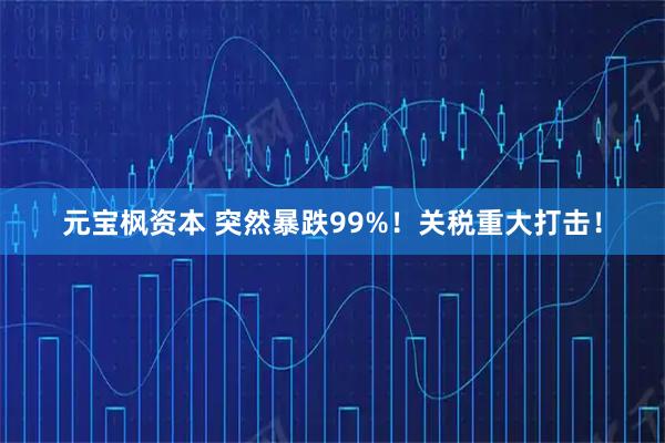 元宝枫资本 突然暴跌99%！关税重大打击！