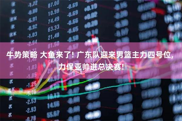 牛势策略 大鱼来了! 广东队迎来男篮主力四号位, 力保亚帅进总决赛!